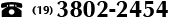 (19) 3802-2454